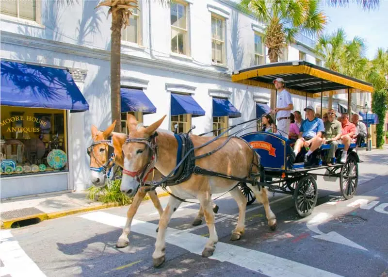 Du lịch Charleston, kh&aacute;m ph&aacute; th&agrave;nh phố th&acirc;n thiện nhất thế giới 13