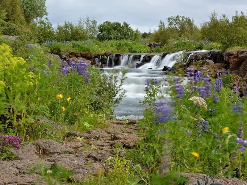 Gh&eacute; thăm thủ đ&ocirc; Reykjavik, th&agrave;nh phố sạch nhất Iceland 12