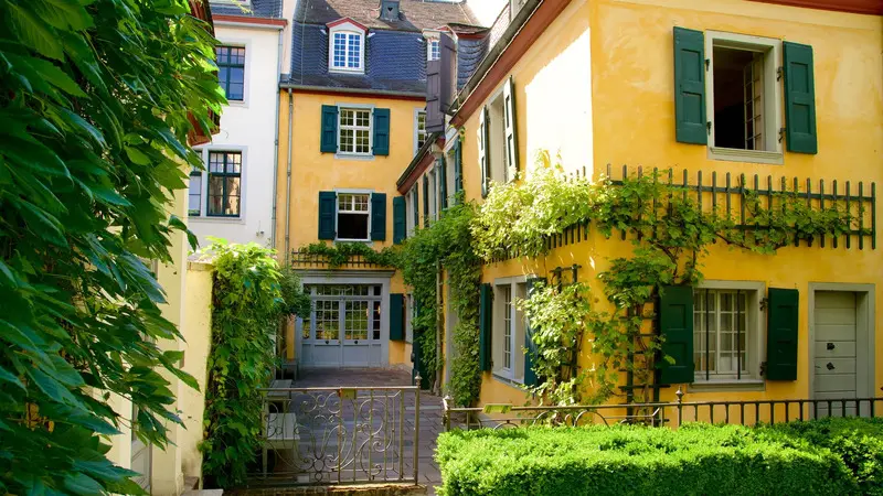 Kh&aacute;m ph&aacute; Bonn, thị trấn nhỏ b&ecirc;n d&ograve;ng s&ocirc;ng Rhine thơ mộng 6