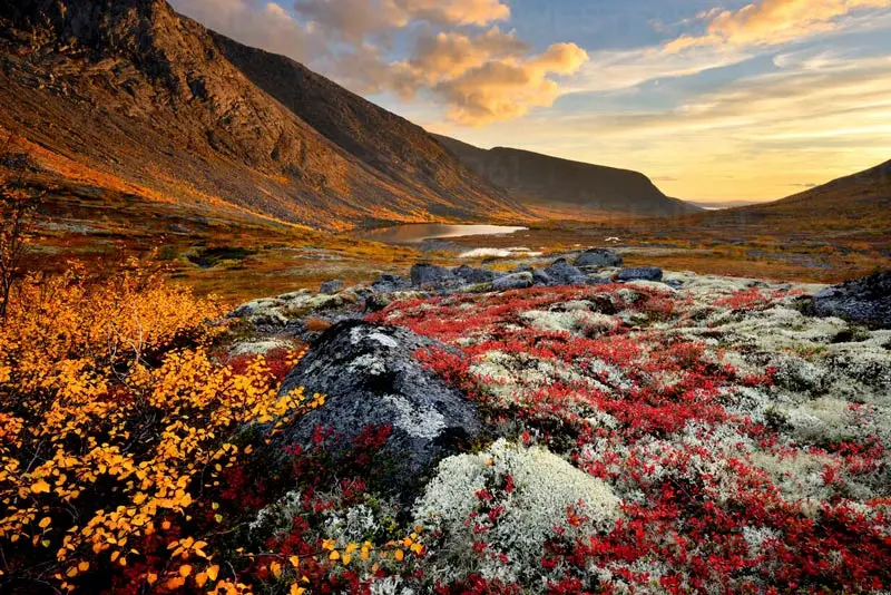 Kh&aacute;m ph&aacute; Murmansk, địa điểm ngắm cực quang đẹp nhất của Nga 10