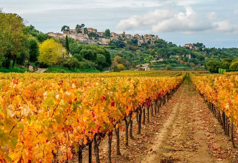 Kh&aacute;m ph&aacute; Provence: Th&agrave;nh phố mộng mơ, l&atilde;ng mạn của Ph&aacute;p 6