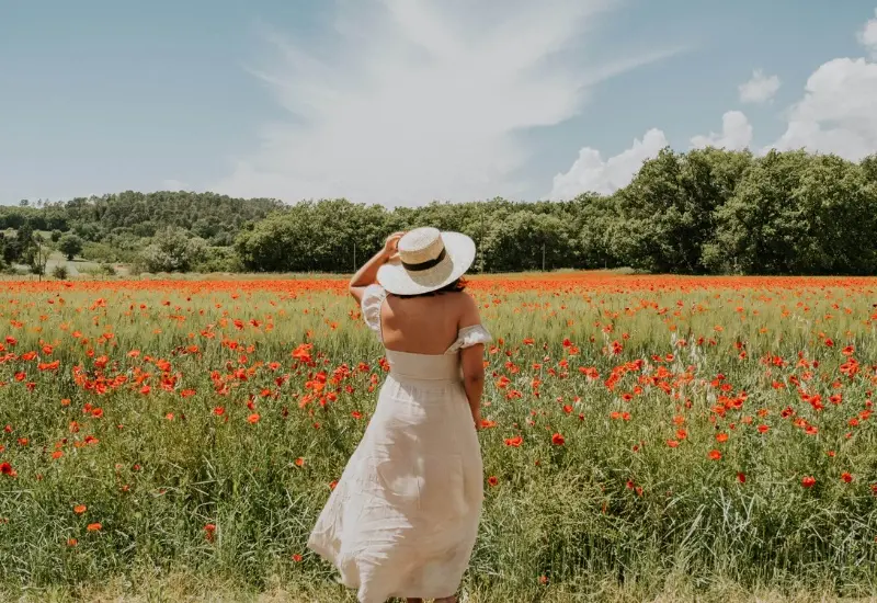 Kh&aacute;m ph&aacute; Provence: Th&agrave;nh phố mộng mơ, l&atilde;ng mạn của Ph&aacute;p 5