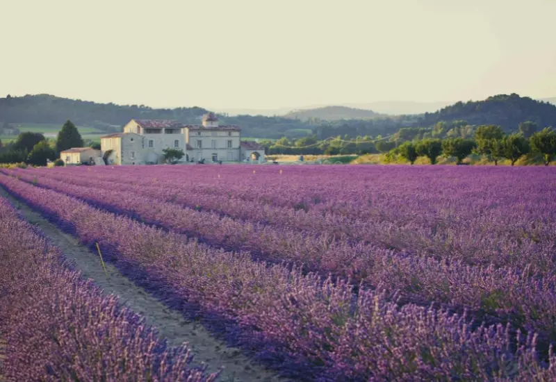 Kh&aacute;m ph&aacute; Provence: Th&agrave;nh phố mộng mơ, l&atilde;ng mạn của Ph&aacute;p 3