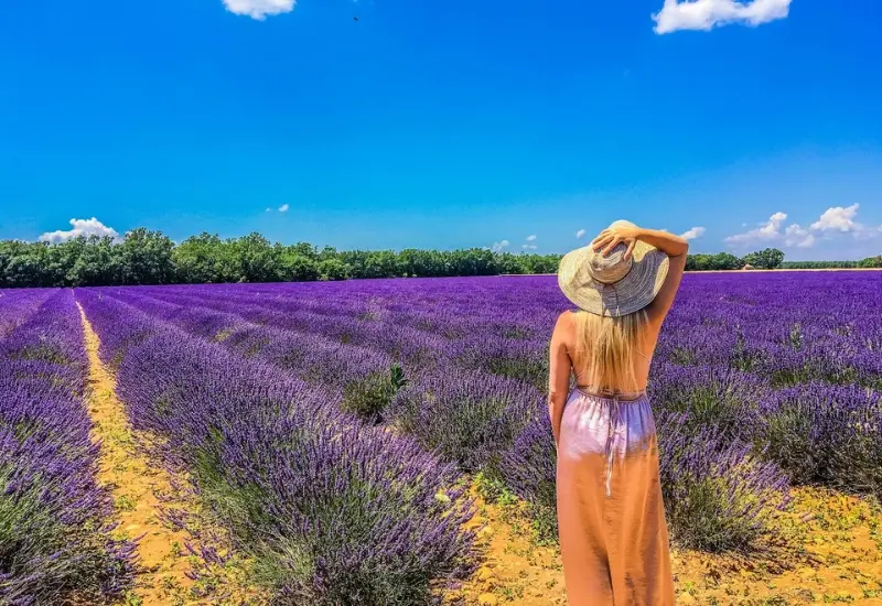 Kh&aacute;m ph&aacute; Provence: Th&agrave;nh phố mộng mơ, l&atilde;ng mạn của Ph&aacute;p 8