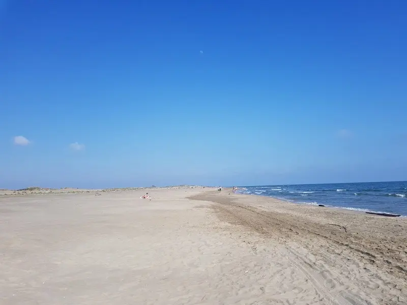 Montpellier, Pháp: Thành phố của ánh nắng ấm bên bờ Địa Trung Hải 12
