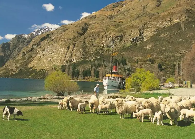 Queenstown th&agrave;nh phố Nữ ho&agrave;ng của xứ New Zealand 8