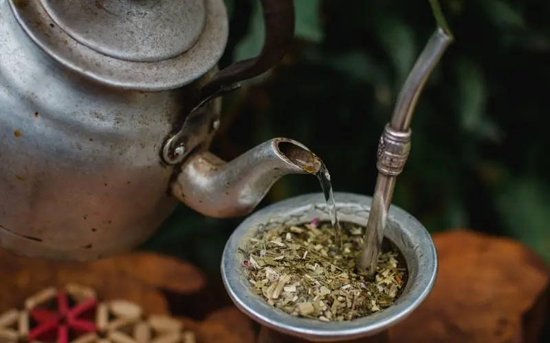 Tr&agrave; Yerba Mate: M&oacute;n thảo mộc tiếp năng lượng số 1 Nam Mỹ 8