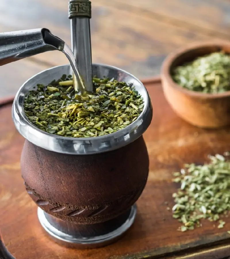 Tr&agrave; Yerba Mate: M&oacute;n thảo mộc tiếp năng lượng số 1 Nam Mỹ 3