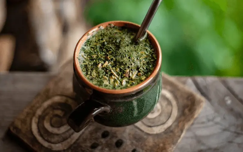 Tr&agrave; Yerba Mate: M&oacute;n thảo mộc tiếp năng lượng số 1 Nam Mỹ 5