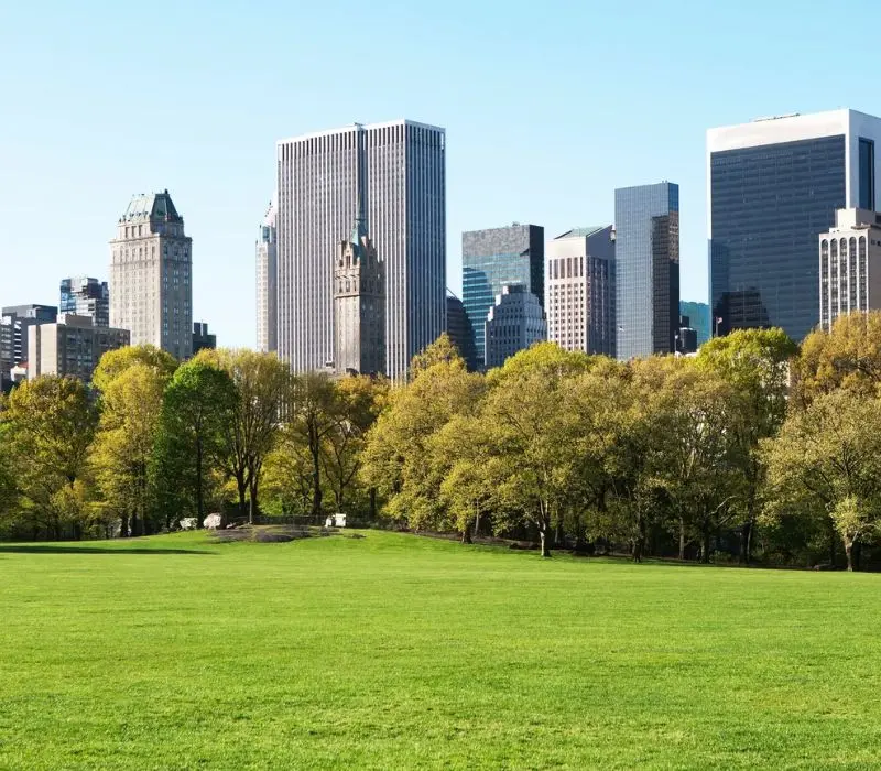 Bật mí New York nổi tiếng về cái gì cho người đi lần đầu