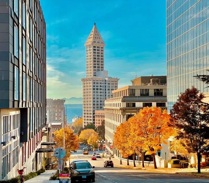 Có một Seattle thơ mộng bên bờ Đông nước Mỹ