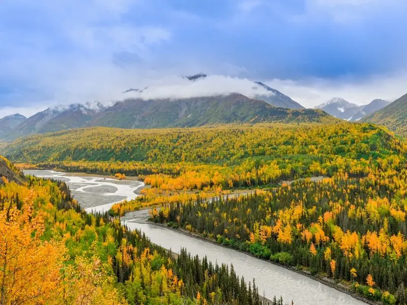 Anchorage, gh&eacute; thăm th&agrave;nh phố th&uacute; vị bật nhất Alaska 5