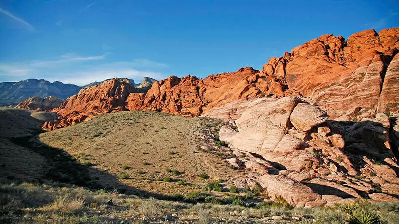 Chinh phục Nevada miền T&acirc;y hoang d&atilde; sống động của nước Mỹ 6