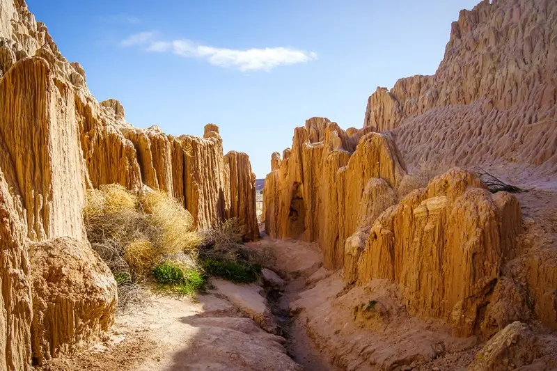 Chinh phục Nevada miền T&acirc;y hoang d&atilde; sống động của nước Mỹ 8