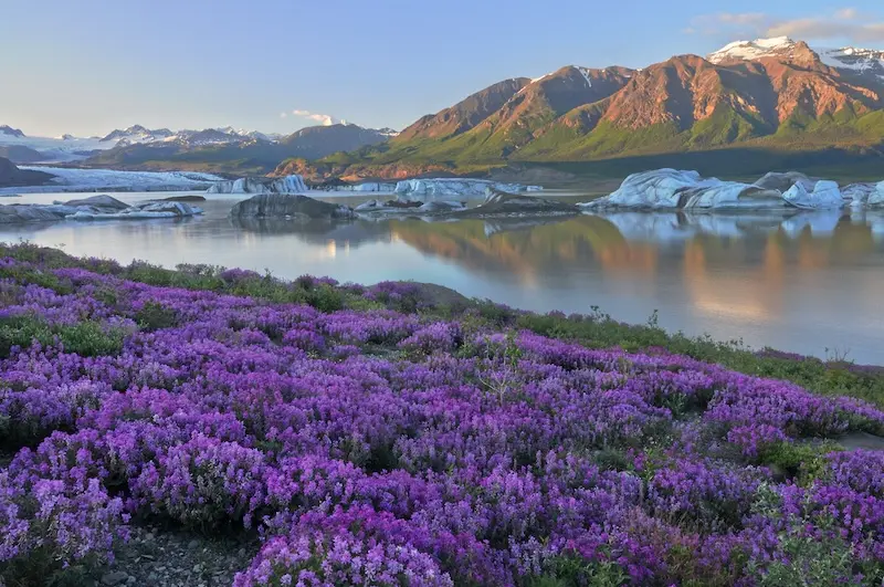 Du lịch Alaska, thi&ecirc;n đường băng với c&aacute;c trải nghiệm th&uacute; vị 10