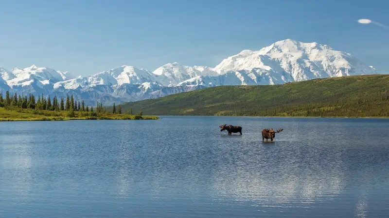 Du lịch Alaska, thi&ecirc;n đường băng với c&aacute;c trải nghiệm th&uacute; vị 9