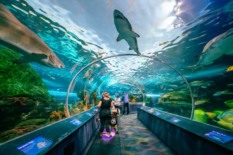 Du lịch Toronto, th&agrave;nh phố đ&ocirc;ng d&acirc;n đa văn h&oacute;a h&agrave;ng đầu thế giới 4