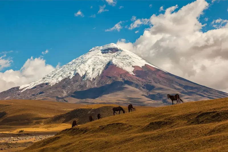 Ecuador v&agrave; thi&ecirc;n nhi&ecirc;n đa sắc kỳ diệu ở Nam Mỹ 5