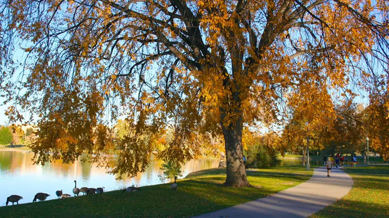 Gh&eacute; thăm Denver, th&agrave;nh phố cao nguy&ecirc;n s&ocirc;i động ở miền T&acirc;y nước Mỹ 4