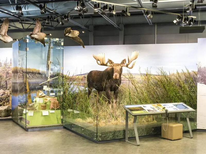 H&agrave;nh tr&igrave;nh săn cực quang ở Yellowknife 6