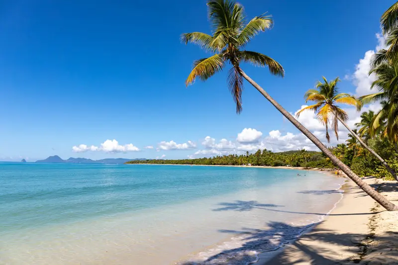 Kh&aacute;m ph&aacute; Martinique h&ograve;n đảo tuyệt đẹp của v&ugrave;ng biển Caribbean 4