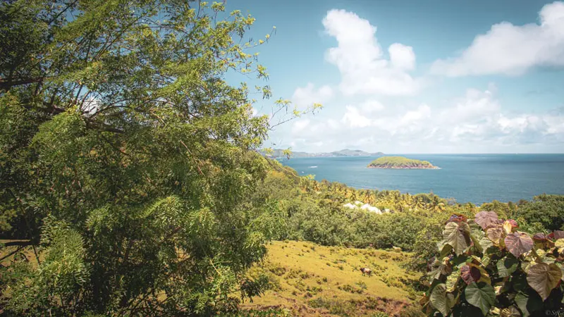 Kh&aacute;m ph&aacute; Martinique h&ograve;n đảo tuyệt đẹp của v&ugrave;ng biển Caribbean 3