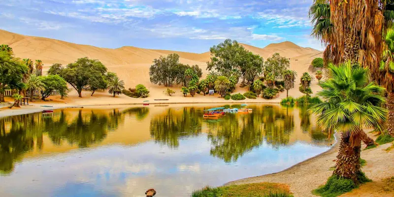 Kh&aacute;m ph&aacute; vẻ đẹp của Huacachina, vi&ecirc;n ngọc giữa sa mạc Peru 3