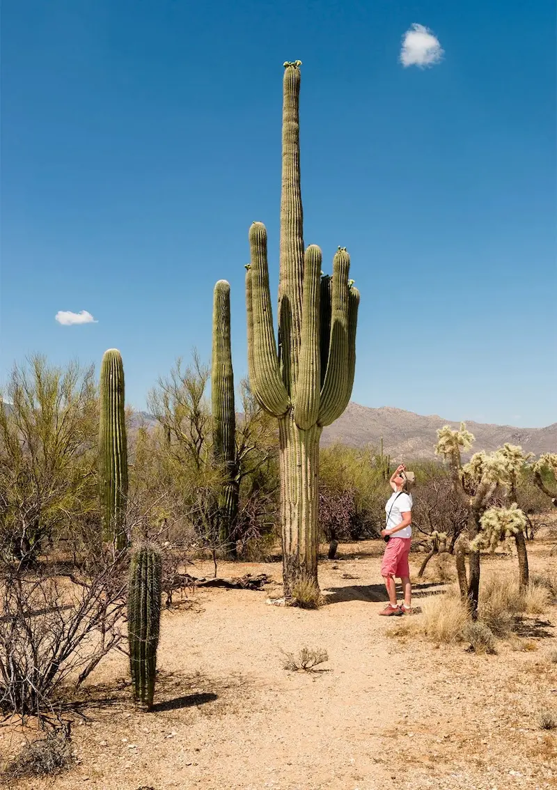 Kinh nghiệm du lịch bang Arizona từ A đến Z d&agrave;nh cho bạn 5