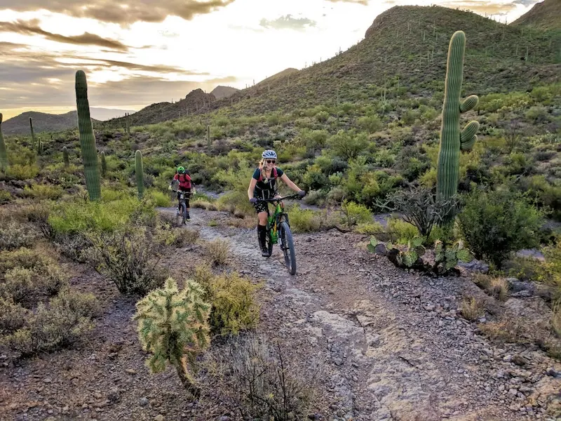 Kinh nghiệm du lịch bang Arizona từ A đến Z d&agrave;nh cho bạn 10