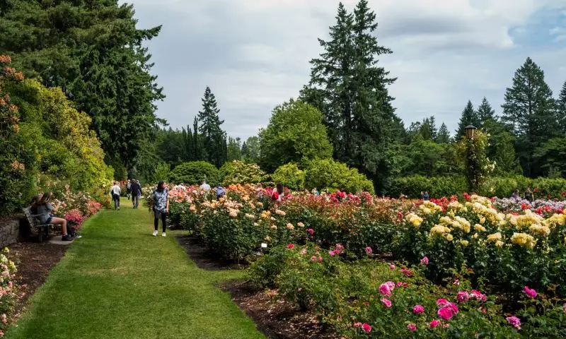 Kinh nghiệm du lịch Portland, th&agrave;nh phố hoa hồng l&atilde;ng mạn 3