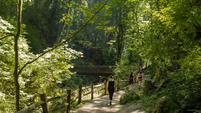 Kinh nghiệm du lịch Portland, th&agrave;nh phố hoa hồng l&atilde;ng mạn 6