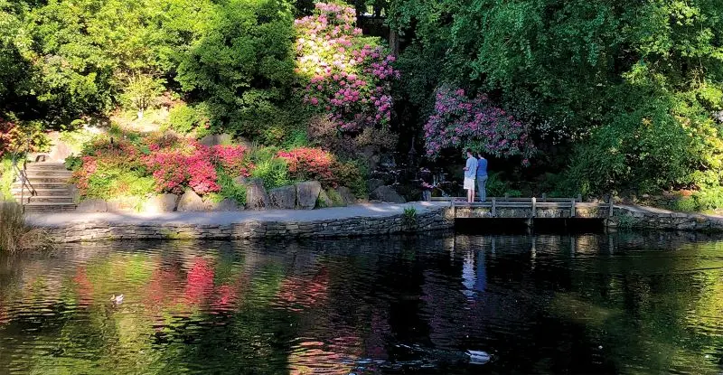 Kinh nghiệm du lịch Portland, th&agrave;nh phố hoa hồng l&atilde;ng mạn 12