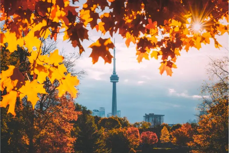 M&ugrave;a thu Canada v&agrave; bức tranh thi&ecirc;n nhi&ecirc;n đẹp xao xuyến 4