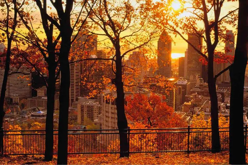 M&ugrave;a thu Canada v&agrave; bức tranh thi&ecirc;n nhi&ecirc;n đẹp xao xuyến 3