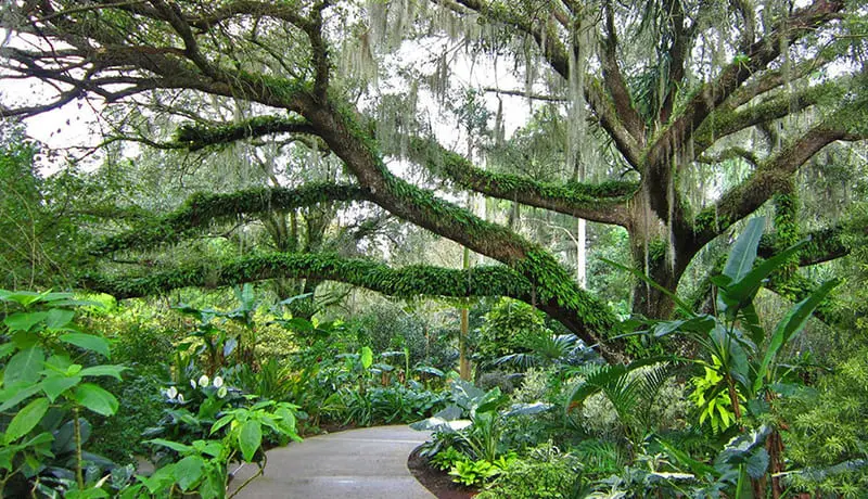 Orlando, nơi đô thành nhộn nhịp hòa cùng thiên nhiên trong vắt 10