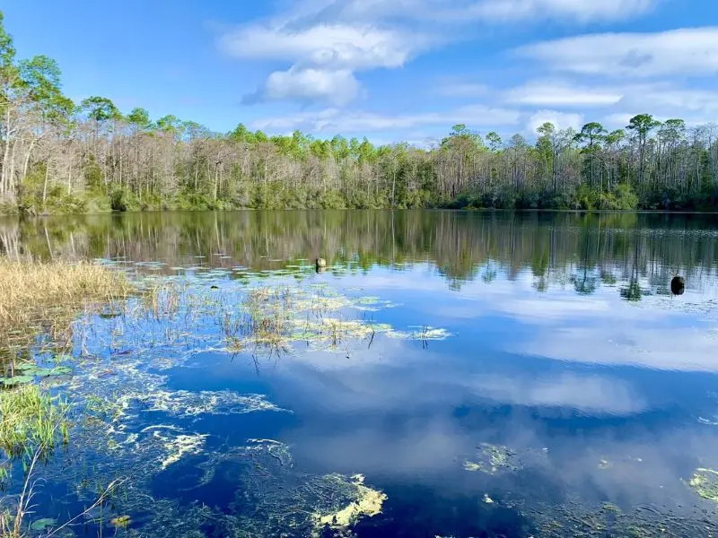 Tallahassee: H&agrave;nh tr&igrave;nh kh&aacute;m ph&aacute; thủ đ&ocirc; y&ecirc;n b&igrave;nh của Florida 6