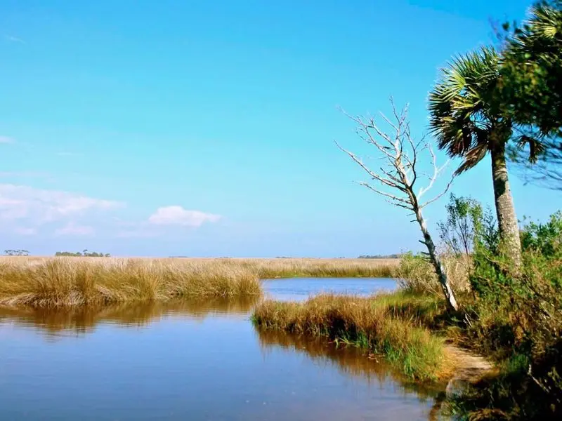 Tallahassee: H&agrave;nh tr&igrave;nh kh&aacute;m ph&aacute; thủ đ&ocirc; y&ecirc;n b&igrave;nh của Florida 8