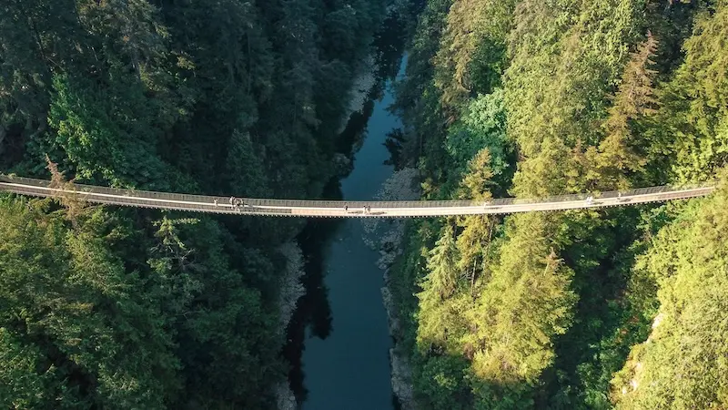 Vancouver, th&agrave;nh phố cảng căng tr&agrave;n nhựa sống ở T&acirc;y Canada 6