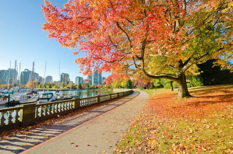 Vancouver, th&agrave;nh phố cảng căng tr&agrave;n nhựa sống ở T&acirc;y Canada 5