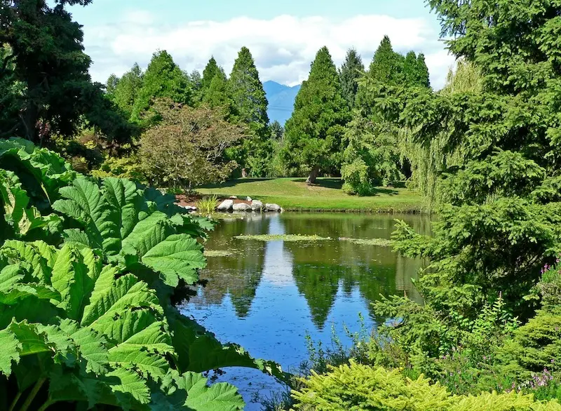 Vancouver, th&agrave;nh phố cảng căng tr&agrave;n nhựa sống ở T&acirc;y Canada 12