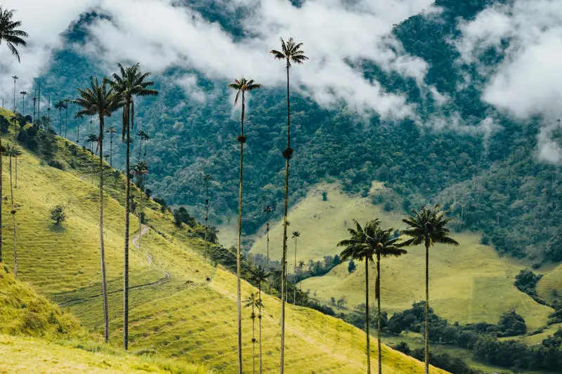 Vi vu Colombia đa sắc m&agrave;u với những trải nghiệm độc đ&aacute;o 8