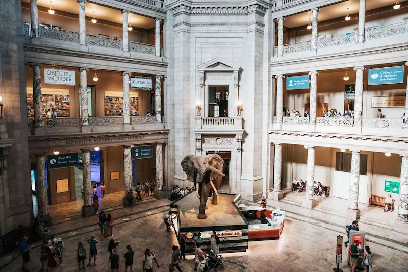 Washington D.C: 6 địa danh nổi tiếng v&agrave; kinh nghiệm du lịch 8