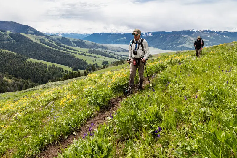 Yellowstone: Vườn quốc gia l&acirc;u đời nhất nước Mỹ v&agrave; thế giới 12