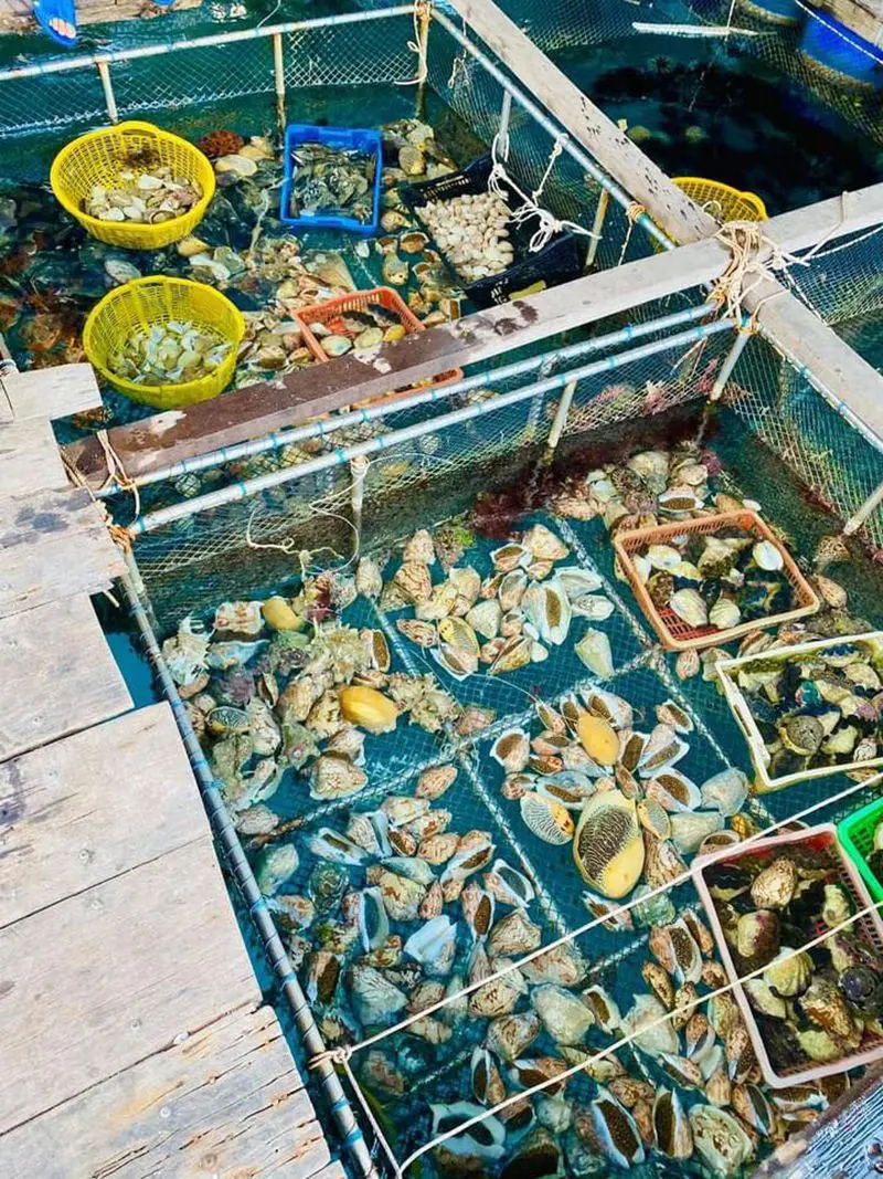 Đến Nh&agrave; h&agrave;ng nổi Kim C&ocirc;n Đảo để c&oacute; những trải nghiệm ẩm thực đ&aacute;ng nhớ 4