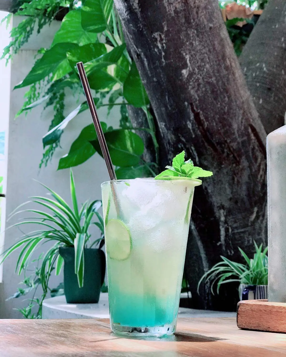 Gh&eacute; Infiniti Cafe Restro C&ocirc;n Đảo tận hưởng kh&ocirc;ng gian s&acirc;n vườn tuyệt đẹp 6
