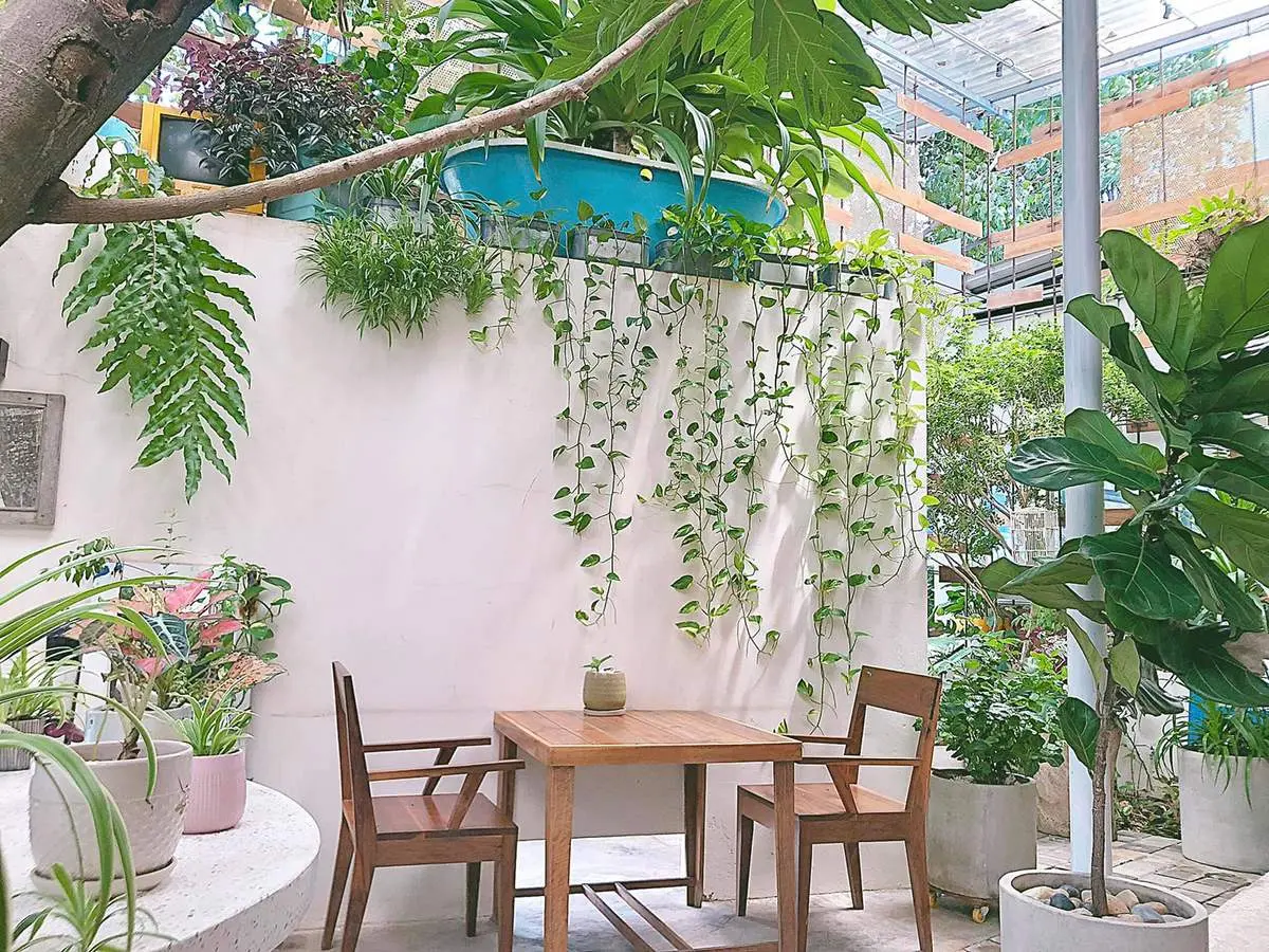 Gh&eacute; Infiniti Cafe Restro C&ocirc;n Đảo tận hưởng kh&ocirc;ng gian s&acirc;n vườn tuyệt đẹp 3