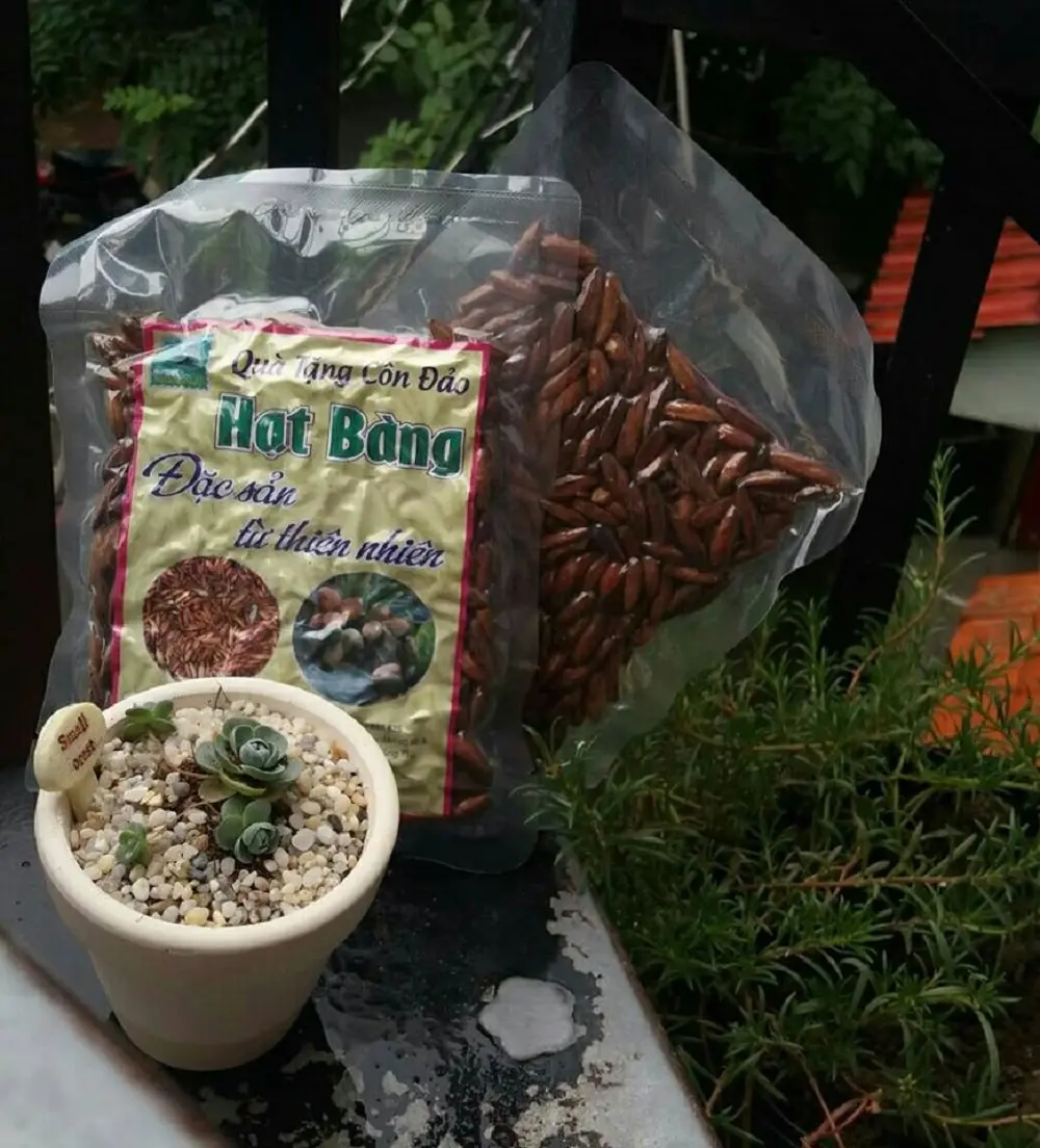 Nếm thử Mứt hạt b&agrave;ng C&ocirc;n Đảo thơm ngon qu&ecirc;n lối về 2