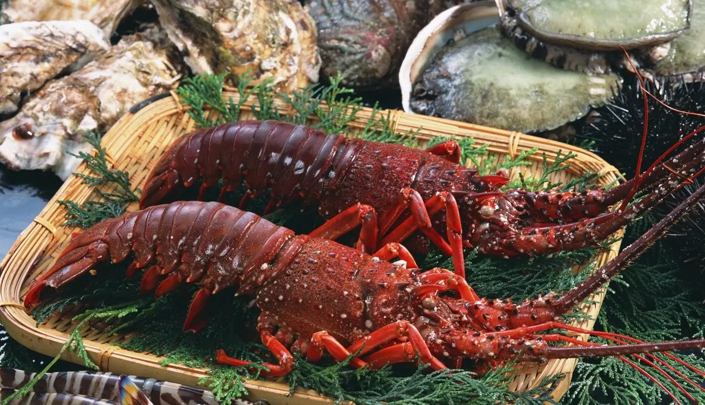 T&ocirc;m h&ugrave;m đỏ C&ocirc;n Đảo, thức qu&agrave; qu&yacute; của biển khơi m&ecirc;nh m&ocirc;ng 2