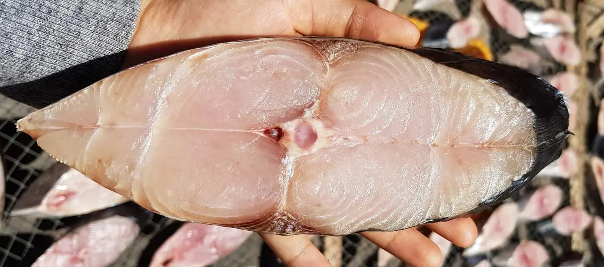 Ngây ngất với đặc sản Cá thu một nắng Côn Đảo