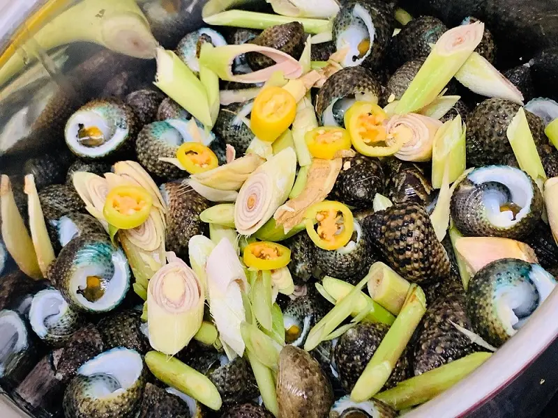 Thưởng thức Ốc ngọt Côn Đảo thơm ngon lừng danh